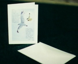 Photography with Original Poem